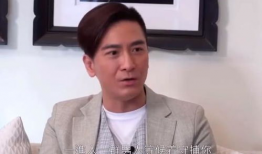 明星吃瓜爆料文件真实吗,真实与否，真相即将揭晓