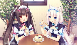 动漫猫娘,猫娘的奇幻冒险之旅